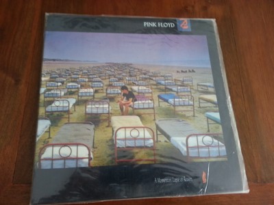 Pink Floyd A Momentary Lapse of Reason 33 rpm