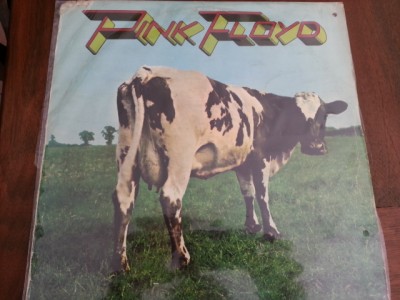 the flaming cow: the making of pink floyd